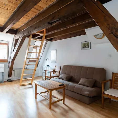 Apartment Citycosy - Budget St Thomas Serruriers Strasbourg