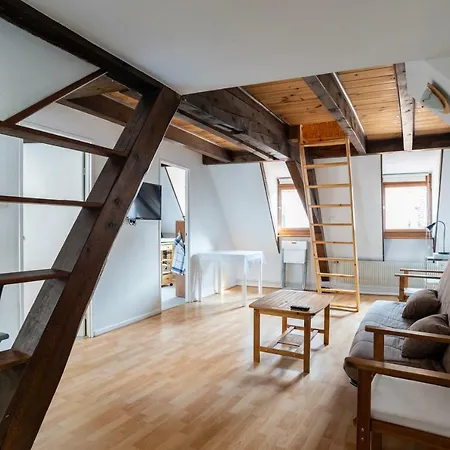 Citycosy - Budget St Thomas Serruriers Apartment Strasbourg