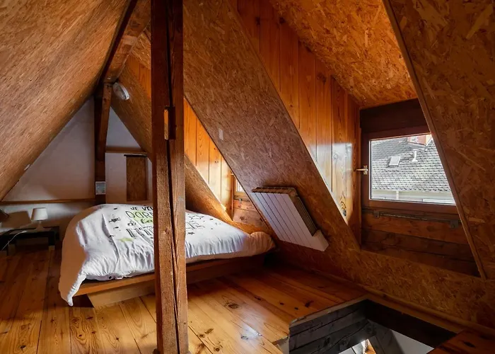 Citycosy - Budget St Thomas Serruriers ستراسبورغ