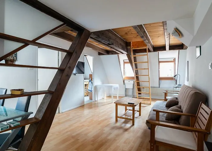 Citycosy - Budget St Thomas Serruriers شقة ستراسبورغ