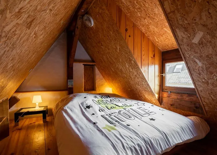 Citycosy - Budget St Thomas Serruriers * ستراسبورغ